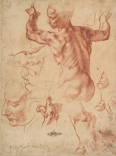 Études pour la sibylle libyenne Michelangelo